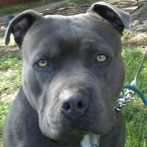 Meet your Posher, London